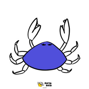 1_Crabe-1
