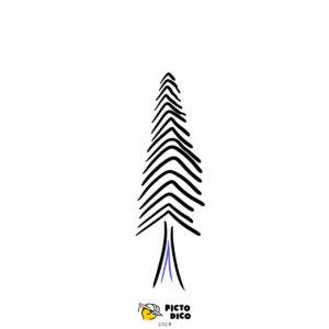 1_Sapin-1