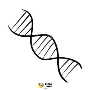 ADN