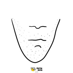 Barbe-2