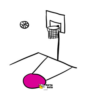 Basket-5