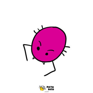 Bete