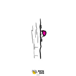 Cache-cache