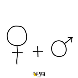 Conception_-3