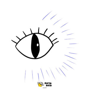 Curiosite_