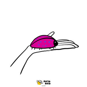 Douceur