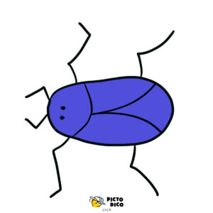 Insecte