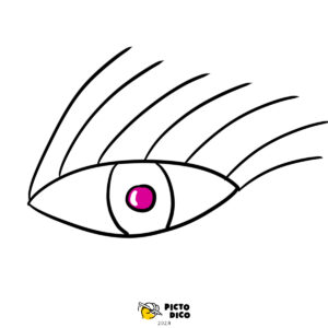 OEil-5