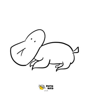 Ornithorynque_