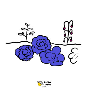Potager-1