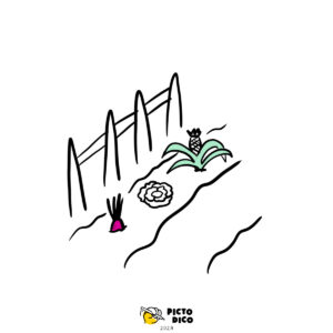 Potager-2