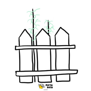 Potager-4