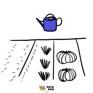 Potager-5