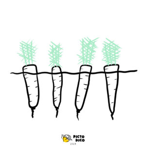 Potager-6