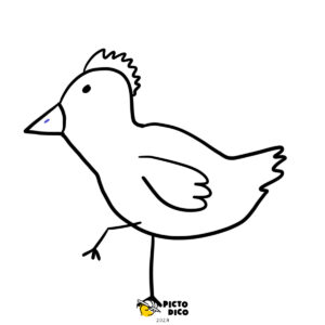 Poule