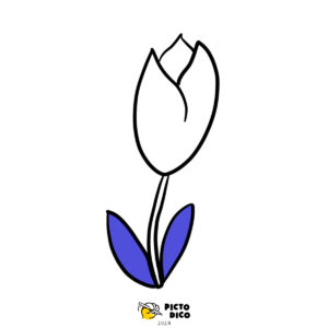 Tulipe-1