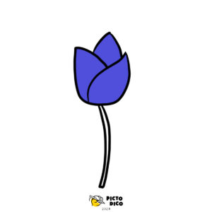 Tulipe