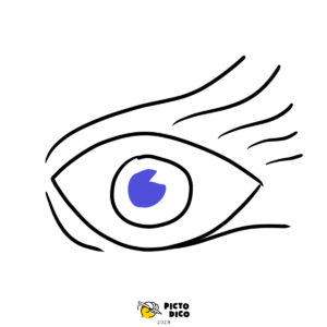 Vision
