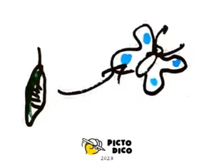 metamorphose